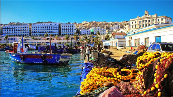 لمحة نيوز