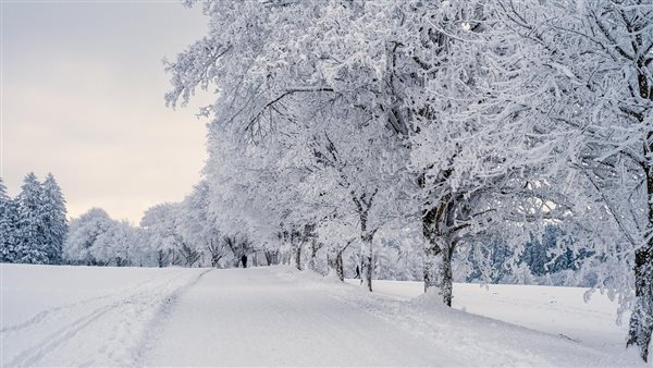 لمحة نيوز