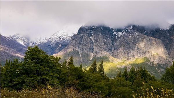 لمحة نيوز